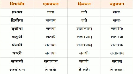 Lata Shabd Roop in Sanskrit